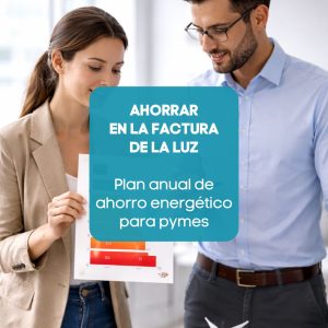 Dos personas de una empresa mirando el consumo eléctrico para buscar soluciones y establecer un plan de ahorro energético gracias a Efinergia