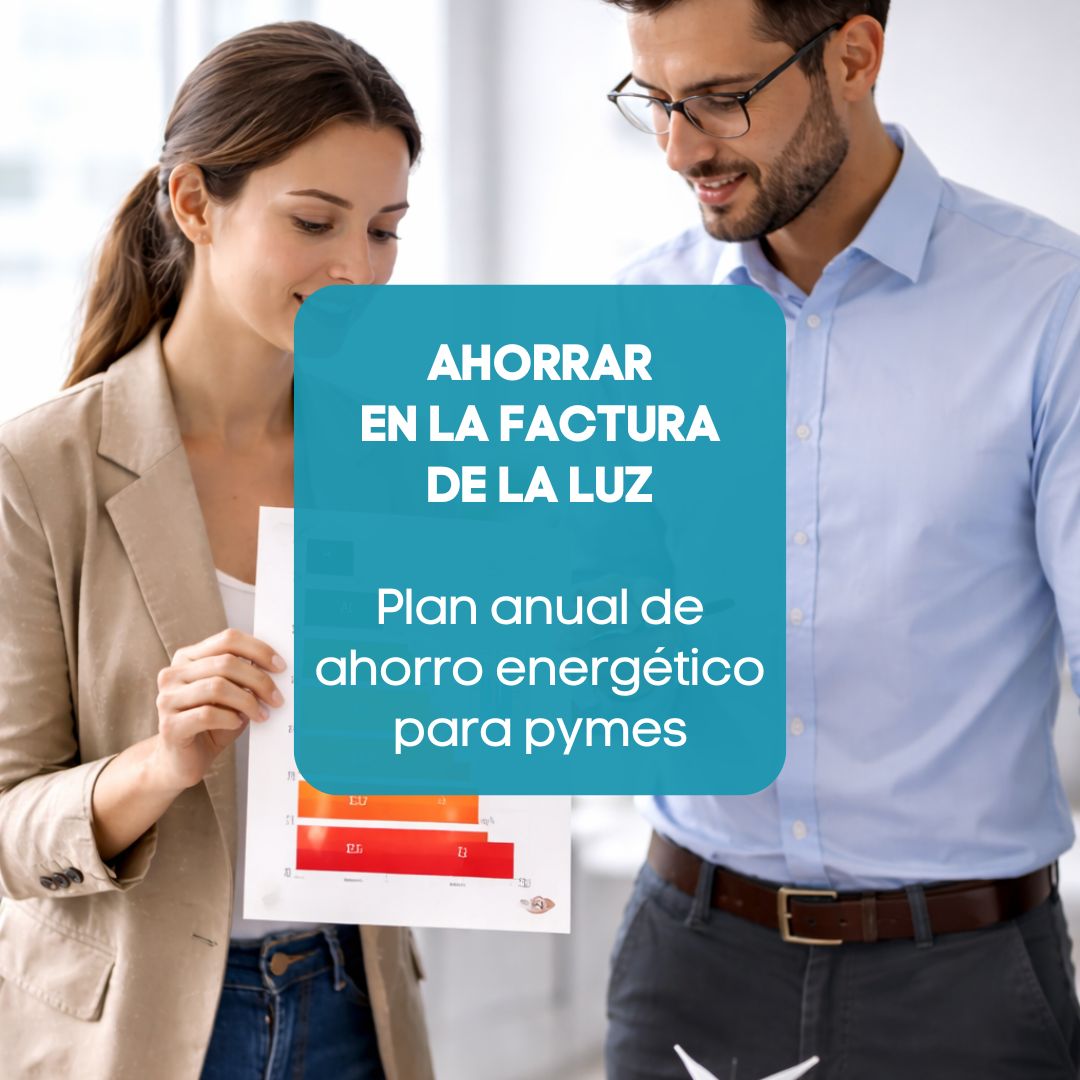 Dos personas de una empresa mirando el consumo eléctrico para buscar soluciones y establecer un plan de ahorro energético gracias a Efinergia